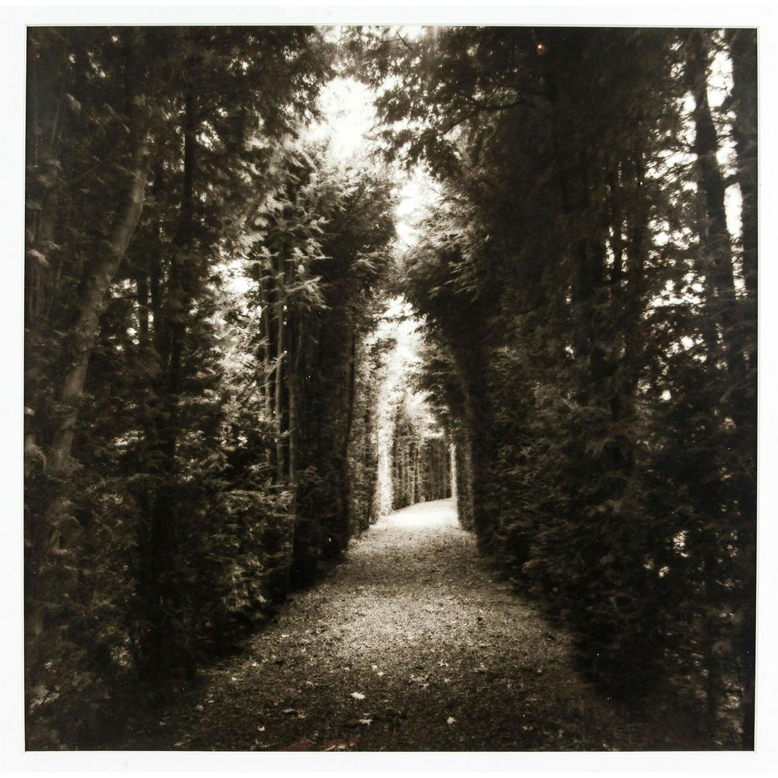 LYNN GEESAMAN, TERRA NOVA, LONEN, NETHERLANDS 1989: Black and White photographic print, Signed by artist on Verso. Lynn Geesaman (born 1938) creates large-scale, color photographs of public parks and formal gardens throughout the United States and Euro