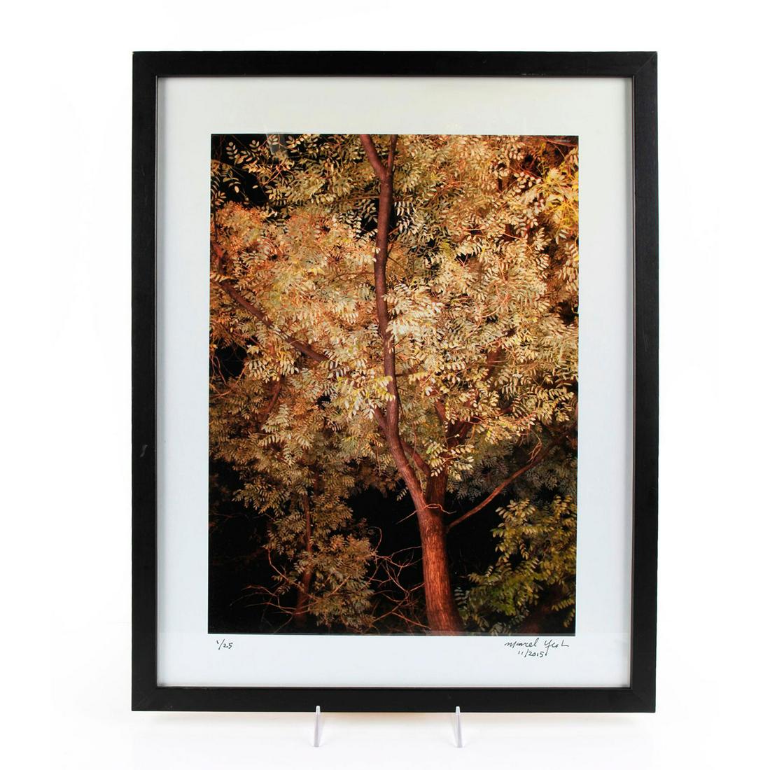 MARCEL YEOH PHOTOGRAPH, TREES AT NIGHT: Signed, dated, and numbered. Artist: Marcel Yeoh Issued: 2015 Dimensions: 23.5"H x 18.5"H, framed Edition Number: 1 Edition Size: 25 Provenance: Collection of Ardes Quinn Country of Origin: United Sta