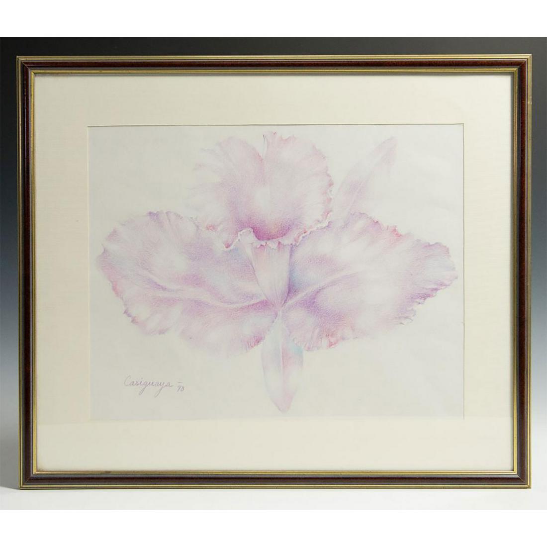 ISABEL RODRIGUEZ JARDINES (CUBAN, B.1964) DRAWING: Original pencil drawing of a flower. By Cuban artist who used the pseudonym Casiguaya. Signed and dated lower left. Issued: Circa 1998 Dimensions: 22.5" x 19" framed, 16.5" x 13" image only Country of