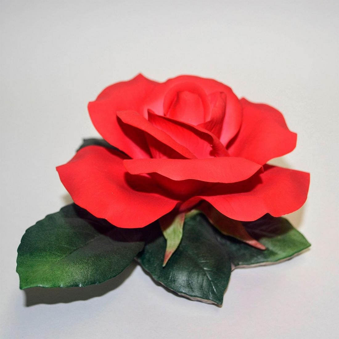 BOEHM PORCELAIN QUEEN ISABELLA ROSE: Bisque Porcelain Decorated. Open Edition. Hand painted. Hallmark: F-322 Bisque Porcelain Decorated. Open Edition. Hand painted. Hallmark: F-322 Artist: Boehm Issued: 1992 Dimensions: 3 1/2"H x 5"W x 5