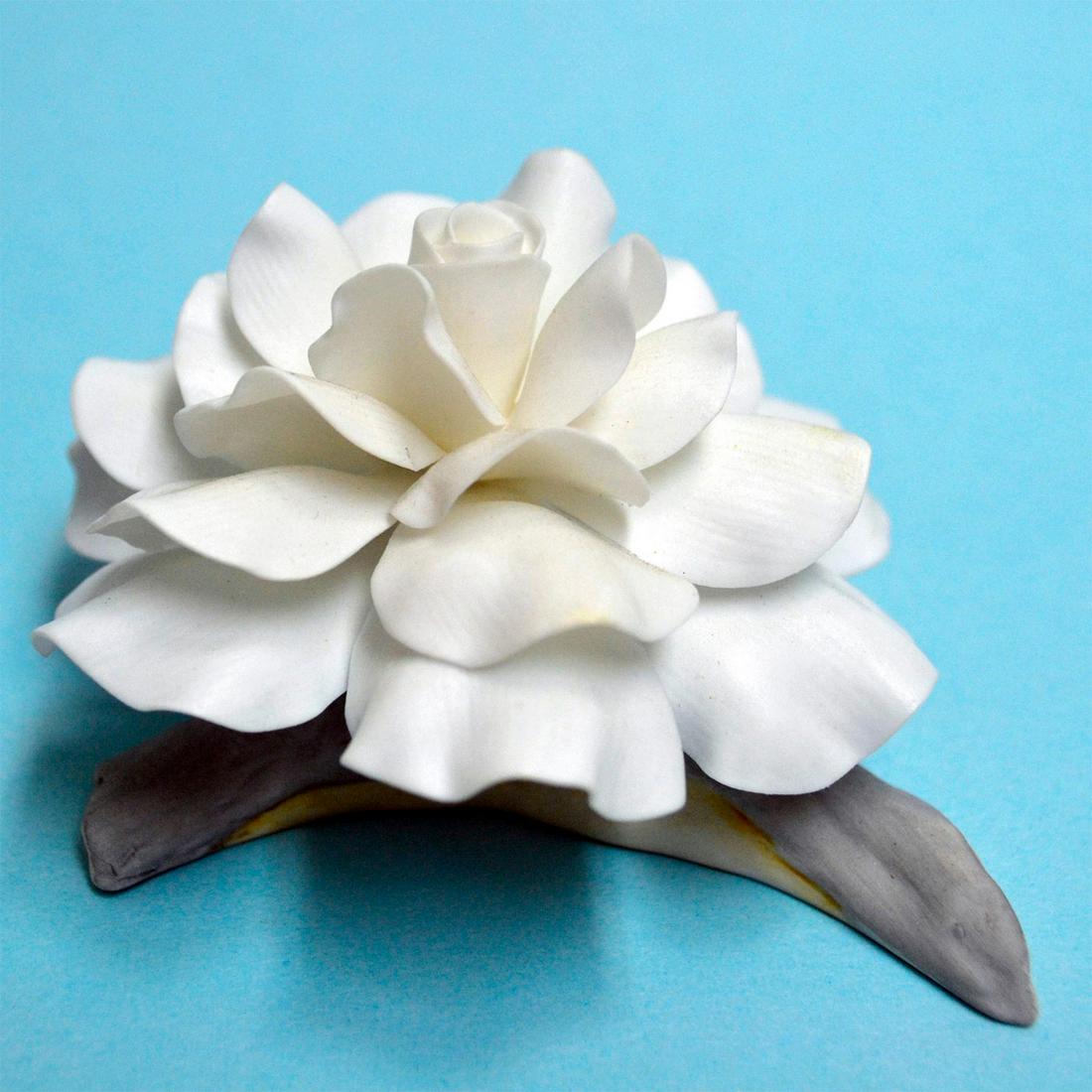 BOEHM PORCELAIN MINIATURE GARDENIA: Bisque Porcelain Decorated. Hand created, hand painted. Hallmark: F-263 Bisque Porcelain Decorated. Hand created, hand painted. Hallmark: F-263 Artist: Boehm Issued: 1989 Dimensions: 1 1/2"H x 4"W x 3