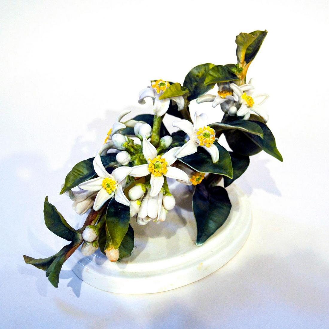 ROYAL WORCESTER DOROTHY DOUGHTY ORANGE BLOSSOM SPRAY,: English Fine Bone China, bisque decorated. Ltd. Ed., 175. Authentic Hallmark. 1947. Good for age. English Fine Bone China, bisque decorated. Ltd. Ed., 175. Authentic Hallmark. 1947. Good for age. Arti