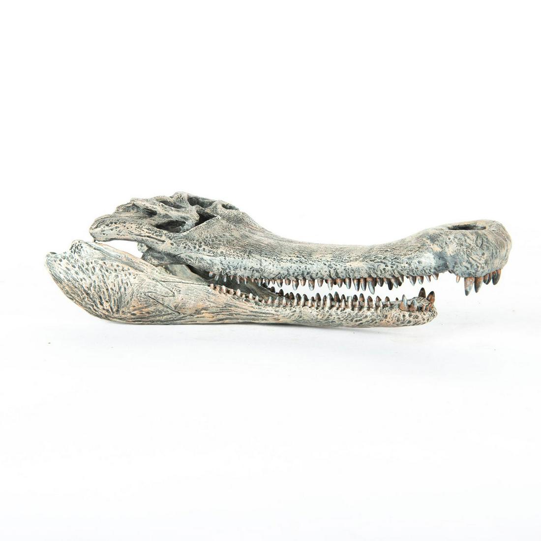 SARCOSUCHUS PREHISTORIC CROCODILE RESIN SKULL SCULPTURE (1 of 9)