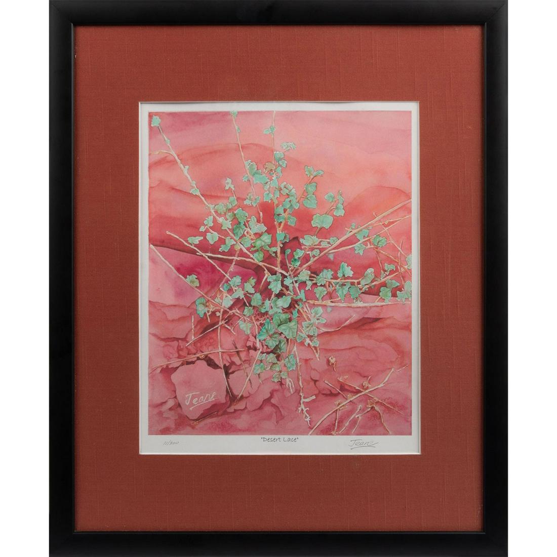 FRAMED LIMITED EDITION PRINT, DESERT LACE, BY SHIRLEY (1 of 2)