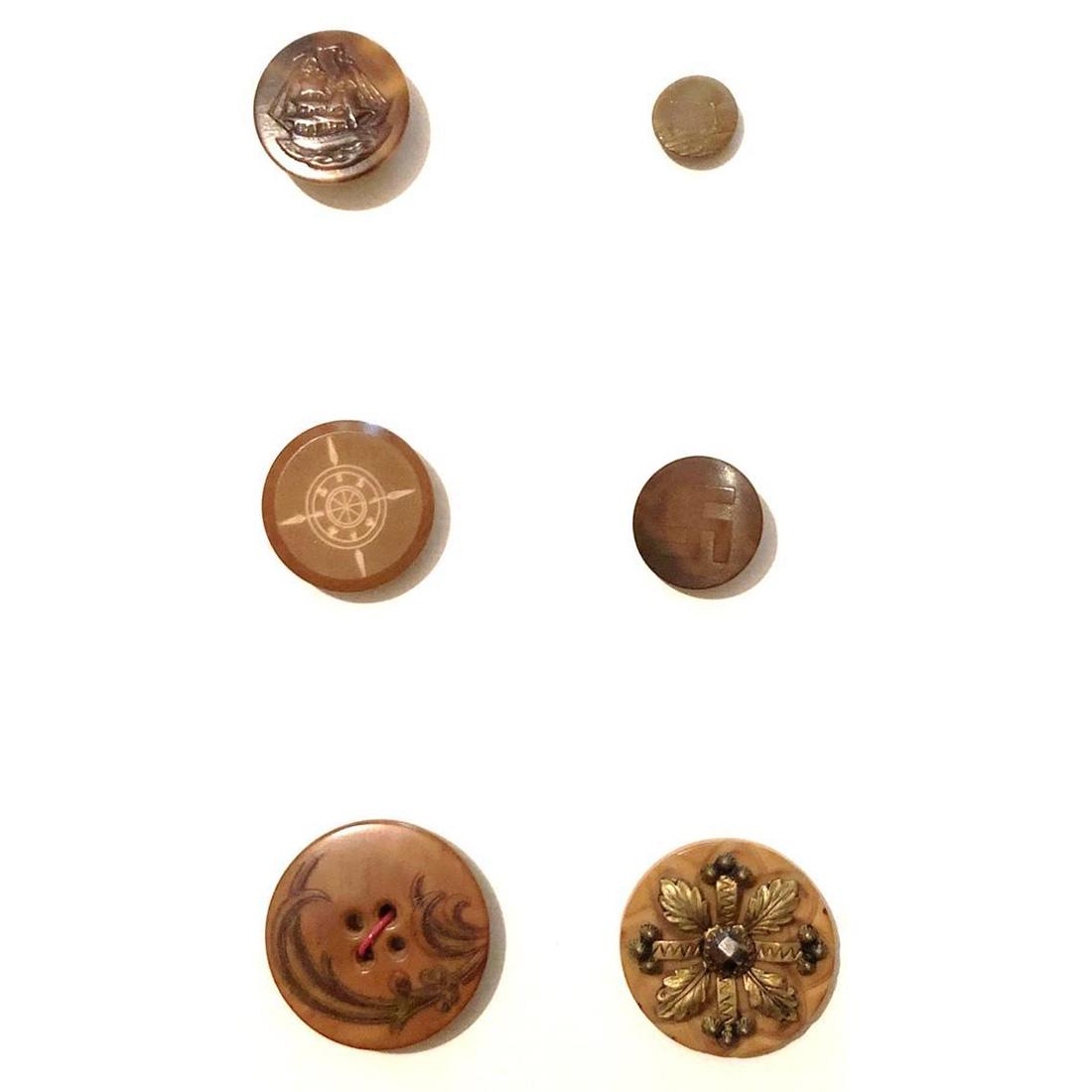 A GROUP OF SIX DIVISION 1 VEGETABLE IVORY BUTTONS: 6 S/M/L Vegetable Ivory buttons, late 19th century. The vegetable ivory comes from the Tagua nut. The lot includes a molded surface design multi masted sailing ship, A large 4 hole sew thru plant life