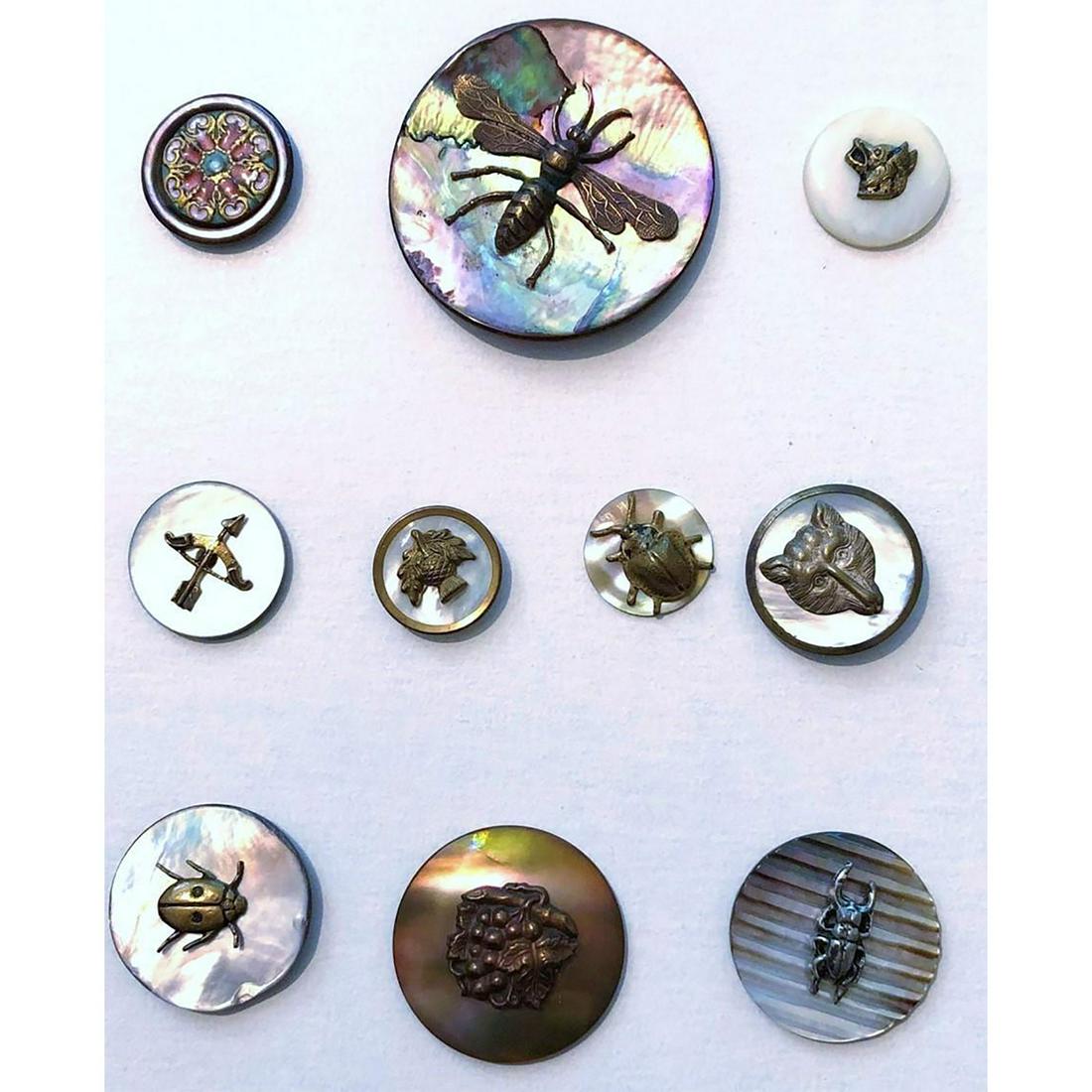 One Small Card Of Div 1 Pearls With Metal Escutcheons.: 10 Small/Medium/Large 19th/20th C. Pearl Buttons. This lot includes several insects, other animal life, objects, enamel center, and more. Interesting and nice lot. Issued: DIVISION 1=PRE 1918 AND DIVI