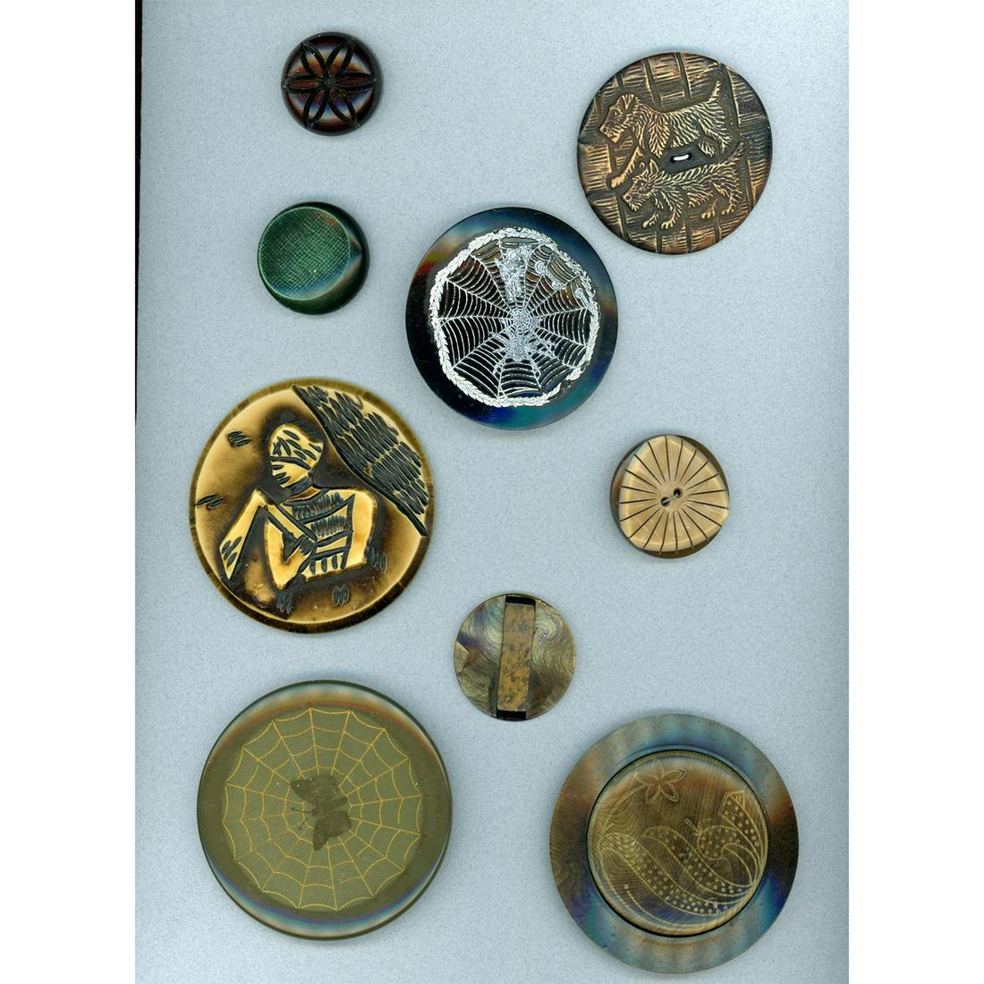 Small Card Of Assorted Celluloid Buttons: 9 Medium/Large/Extra Large assorted celluloid buttons. 1This lot includes a wonderful carved extra large wafer figural, an extra large tight top butterfly on a web, and more. Issued: DIVISION 1=PRE 19