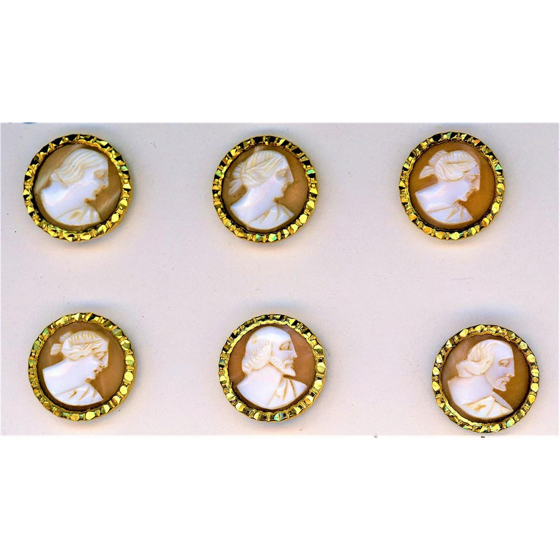 A Set Of Division 1 Carved Helmet Shell Buttons: 6 Small head buttons carved from helmet shell and set in metal. This set is quite nice and unusual. It depicts different heads and are finely carved from Helmet shell and set in beautiful gilt mountin