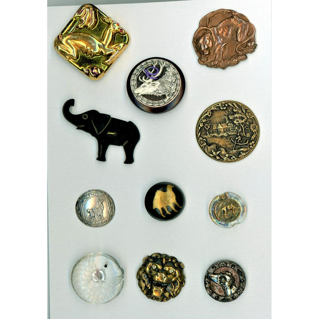 A Small Card Of Assorted Material Assorted Animal (1 of 8)