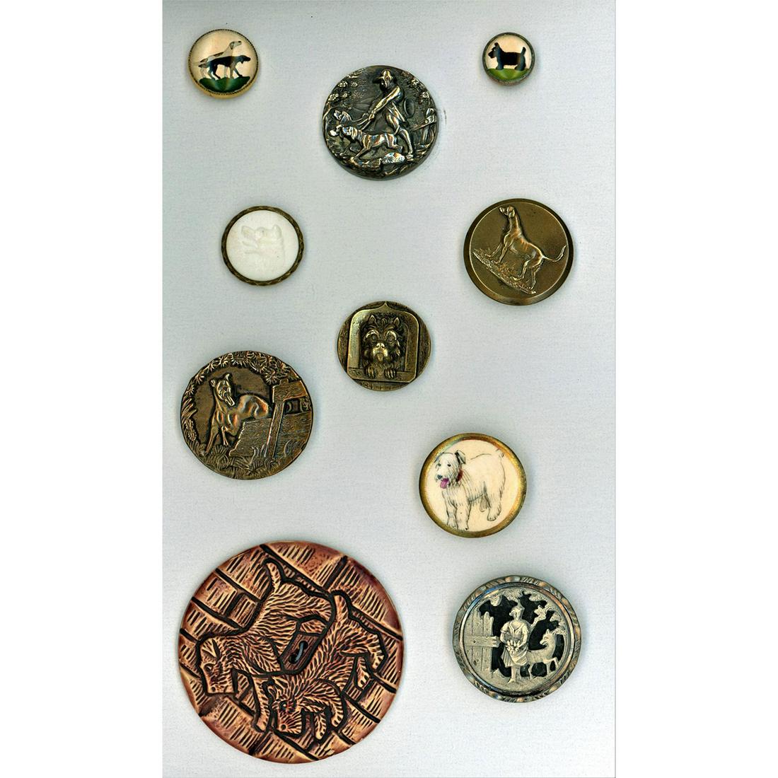 A Small Card Of Assorted Material Assorted Dog Buttons (1 of 7)