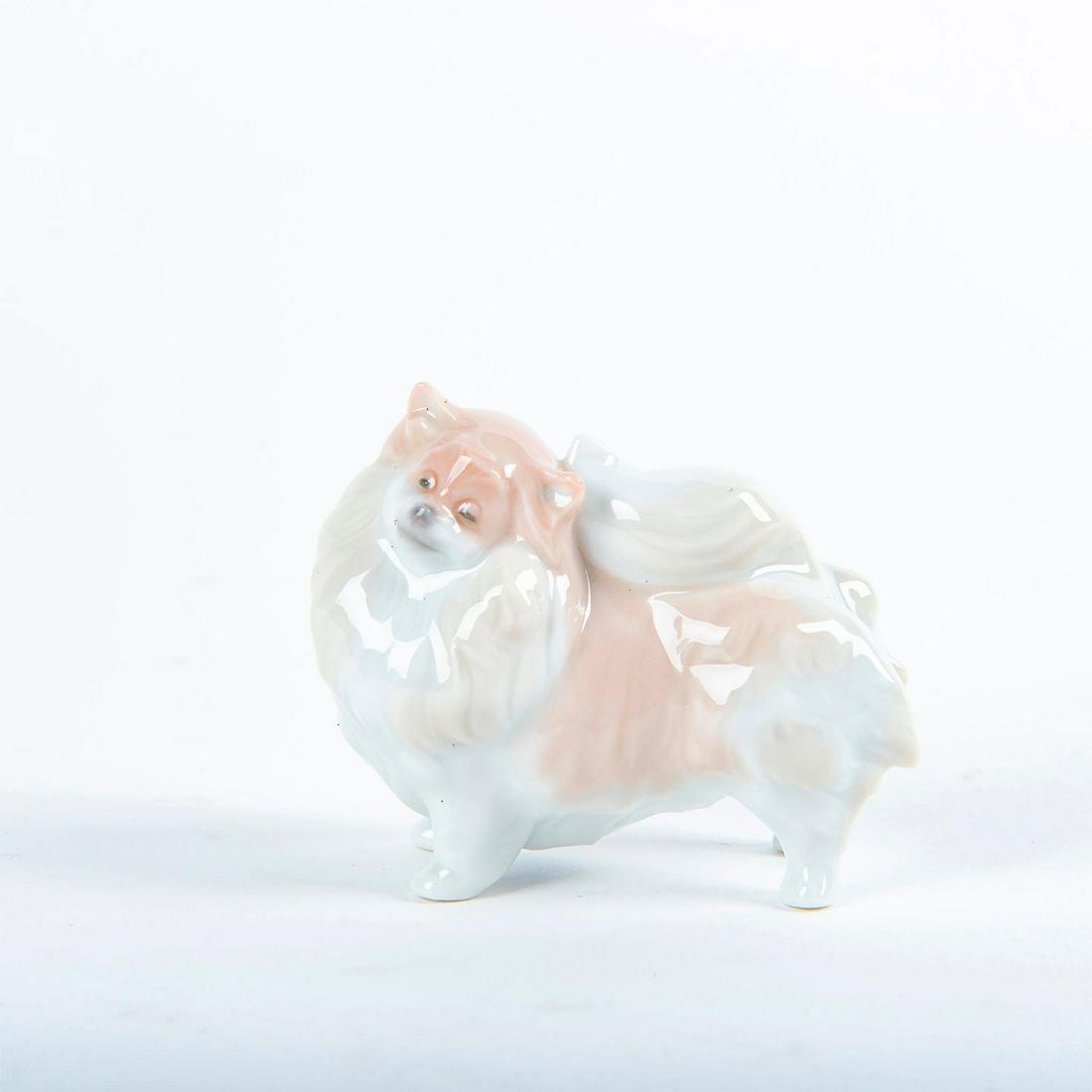 Lladro Porcelain Figurine, Pomeranian Dog 01008338 (1 of 3)