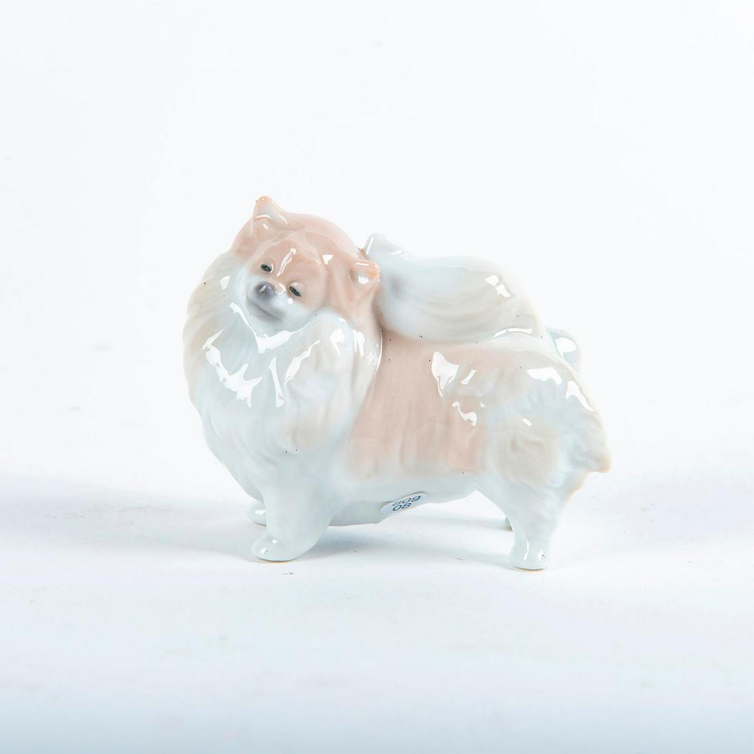 Pomeranian Dog 01008338 - Lladro Porcelain Figure (1 of 3)