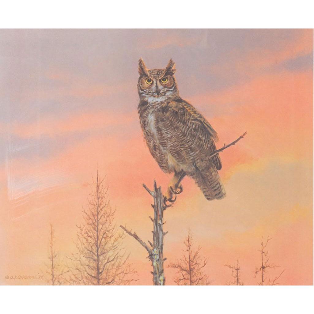 Owen Gromme Great Horned Owl Print, Eyes Of The Night (1 of 6)