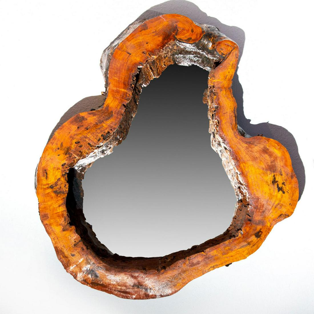 Unusually Shaped Tree Trunk Framed Mirror (1 of 6)