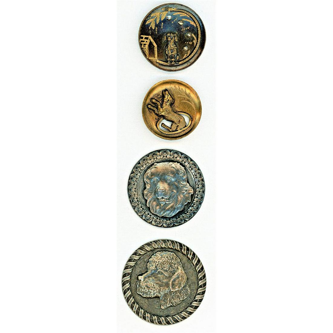 SMALL CARD OF DIVISION ONE AND THREE METAL DOG BUTTONS (1 of 6)