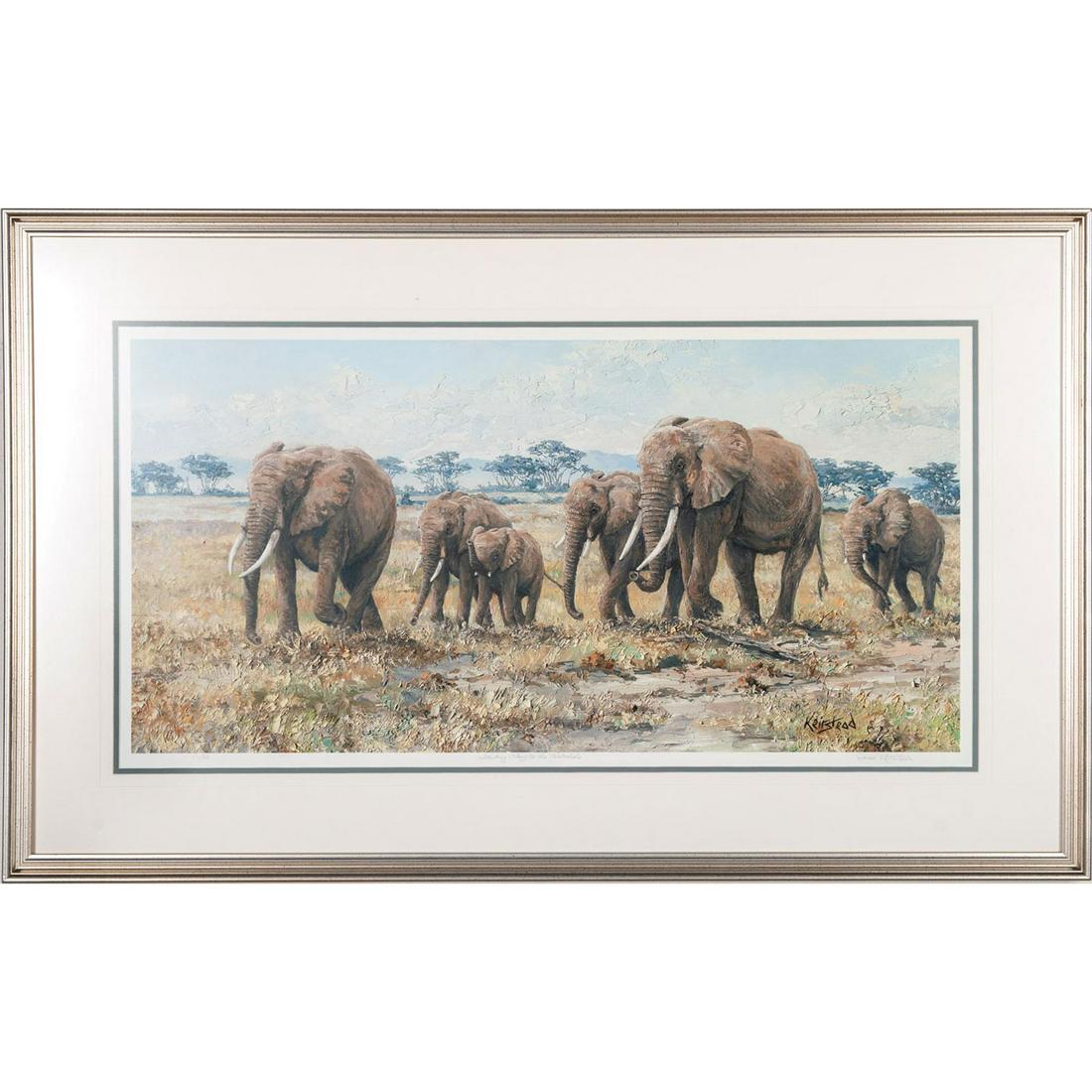 James Keirstead Elephants Striding Along to the Water (1 of 7)