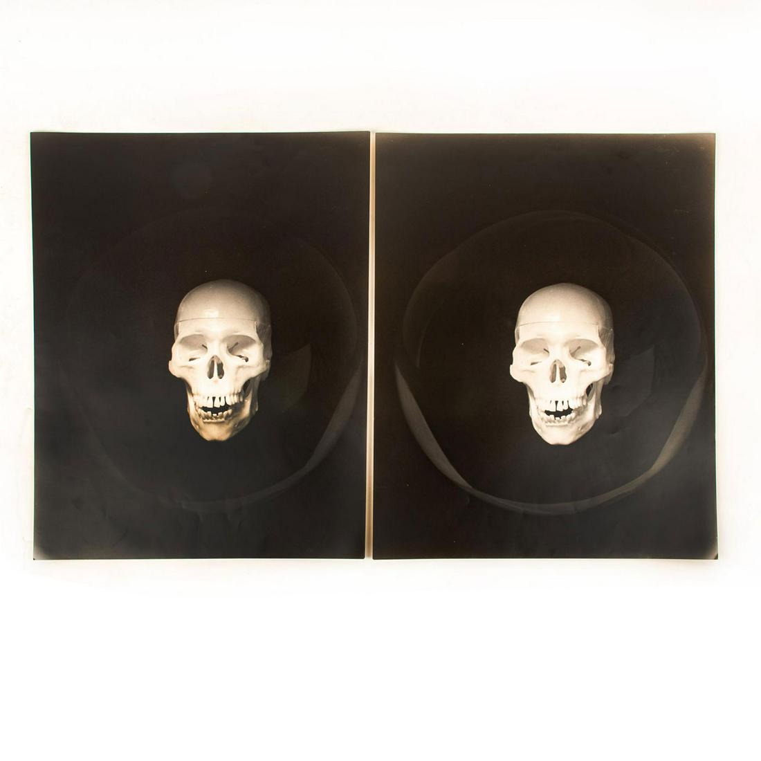Gelatin Silver Print, The Human Skull, 2 Prints: Black and white 16"x20" print of a human skull, seemingly floating in black space. Issued: c. 1970 Dimensions: 16"W x 20"H Country of Origin: USA