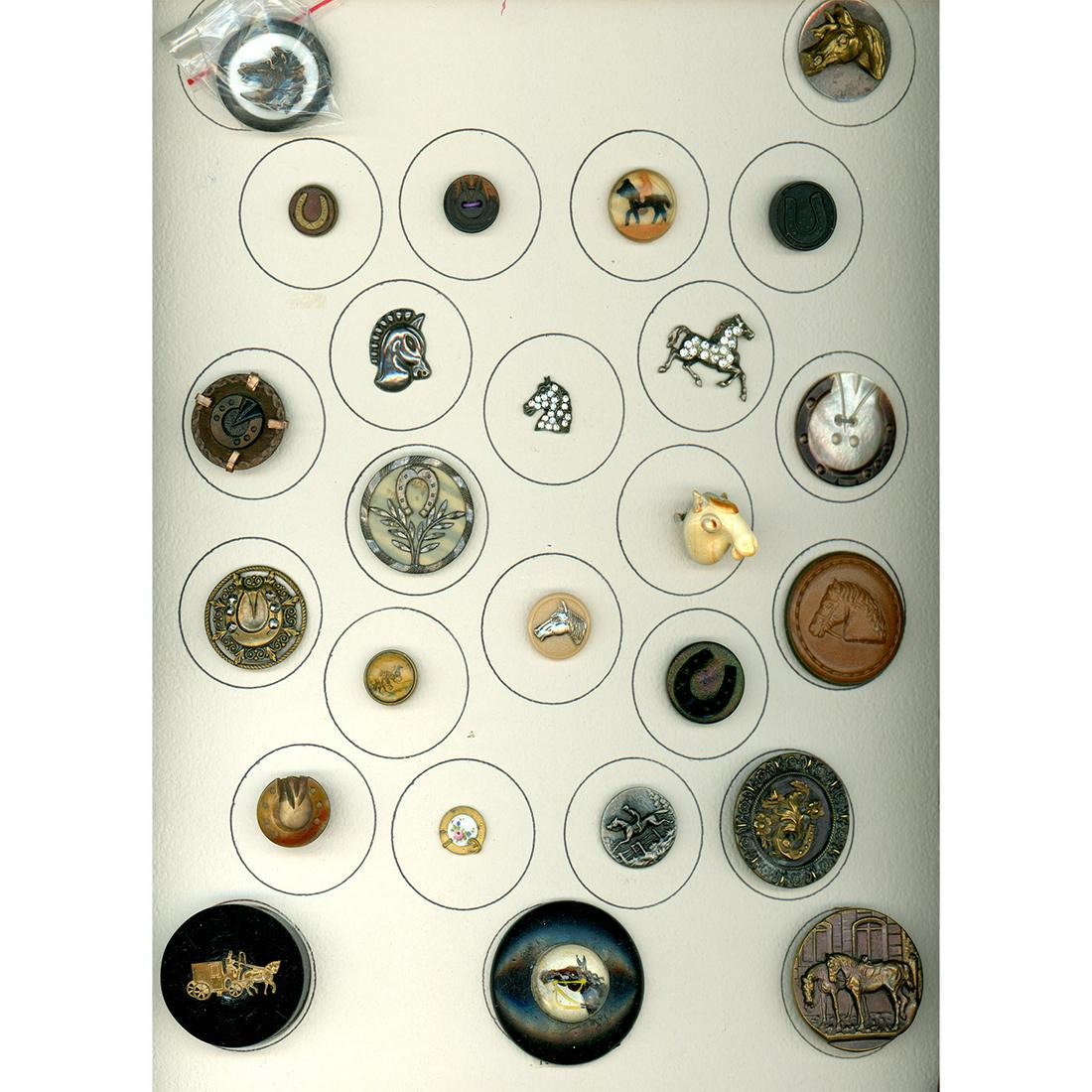 A CARD OF DIV 1 & 3 ASSORTED MATERIAL HORSE BUTTONS (1 of 5)