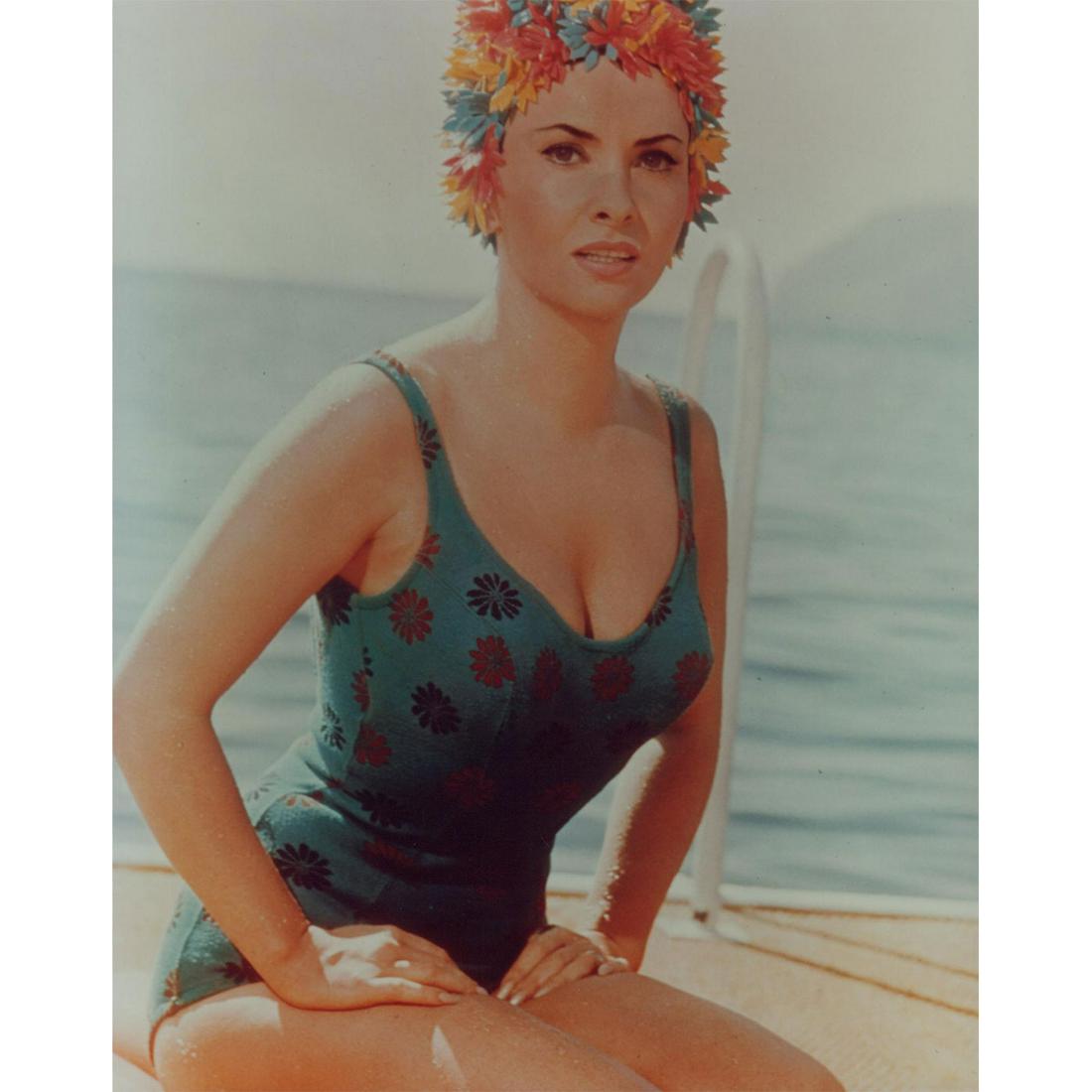 Gina Lollobrigida Photograph (1 of 1)