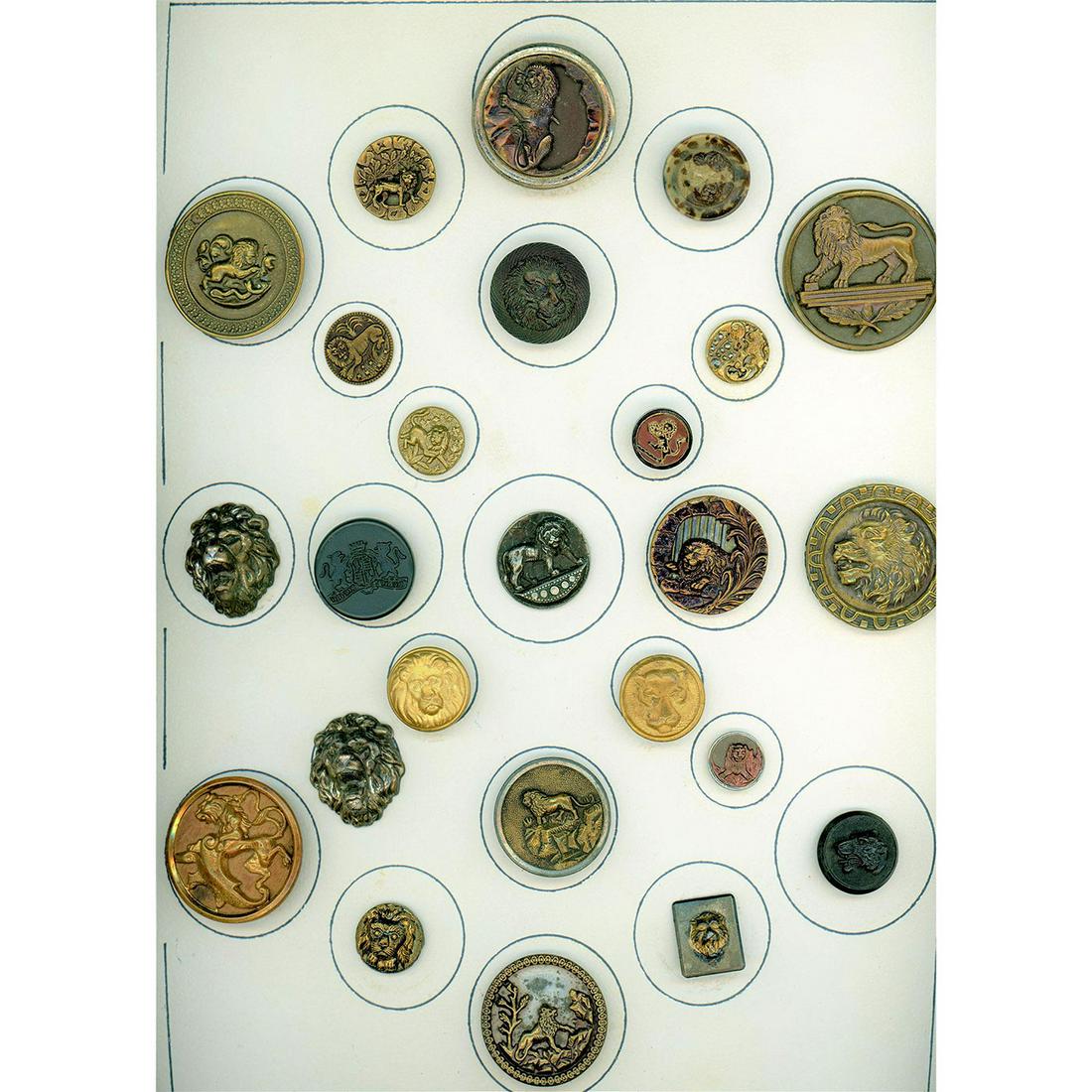 A CARD OF DIVISION ONE ASSORTED WILDCAT BUTTONS (1 of 4)