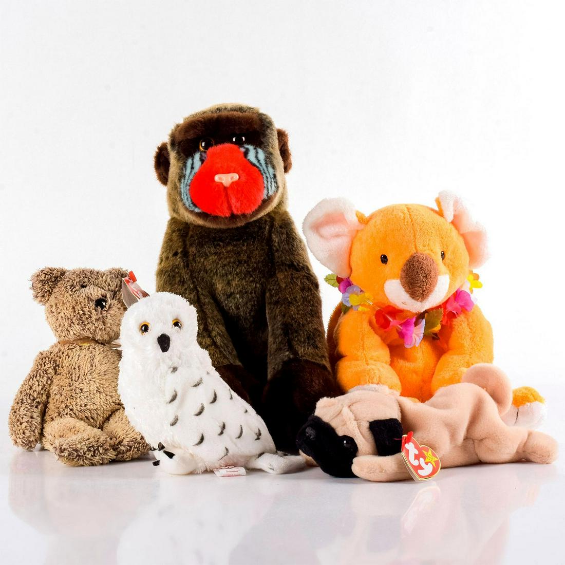 Set of 5 Ty Beanie Baby Stuffed Animals (1 of 3)