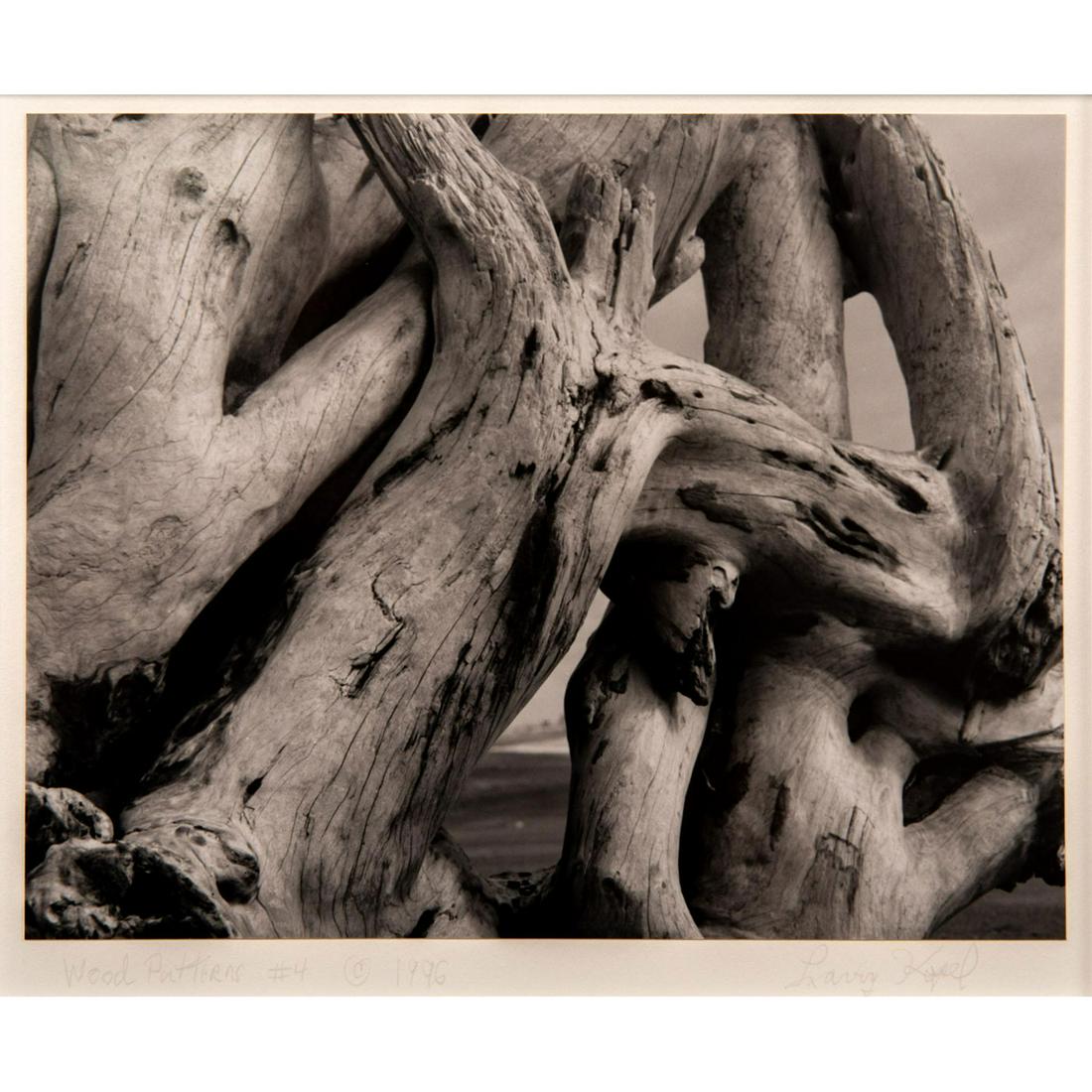 Larry Kopel (American b. 1935) Signed Photograph, Wood (1 of 5)
