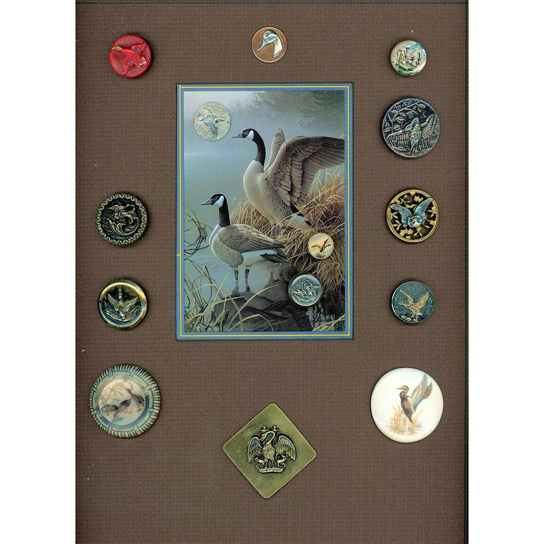 A CARD OF ASSORTED DIV 1 AND 3 BIRD BUTTONS (1 of 4)