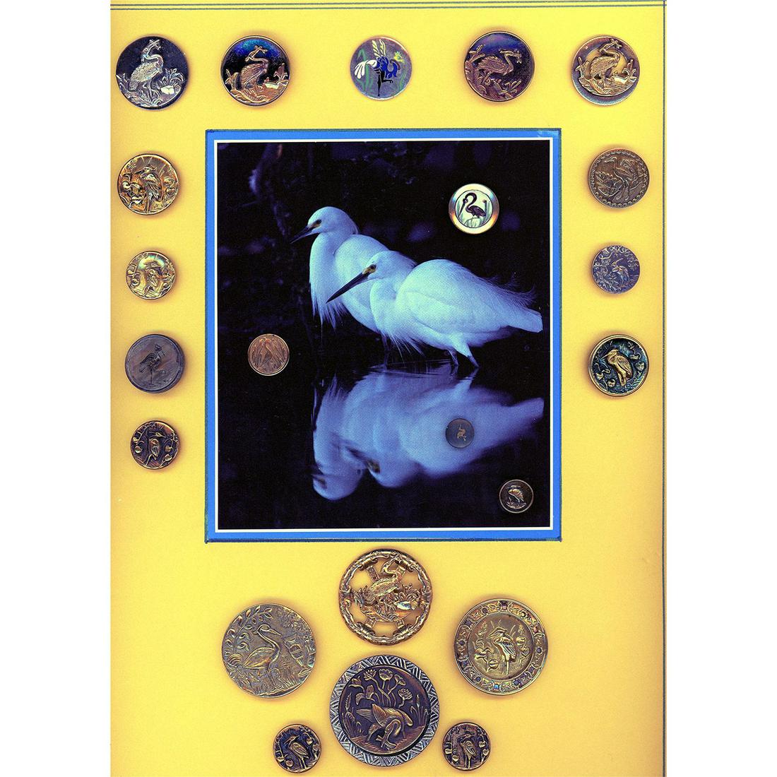 A CARD OF DIVISION ONE METAL BIRD BUTTONS (1 of 4)