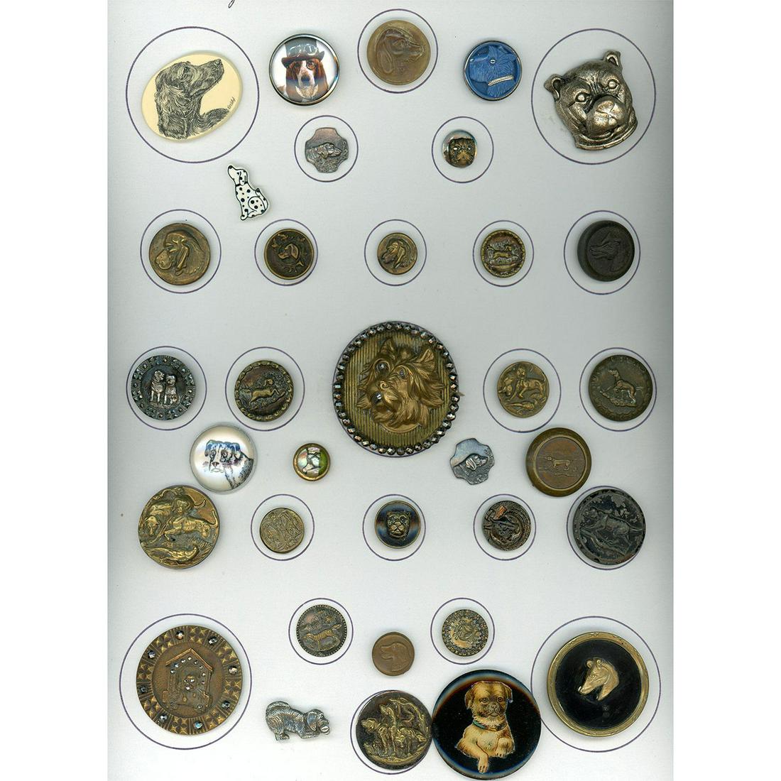 A FULL CARD OF DIV. 1 & 3 ASSORTED MATERIAL DOG BUTTONS (1 of 4)