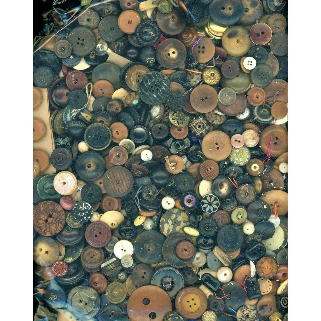 A VERY LARGE BAG OF ASSORTED VEGETABLE I & HORN BUTTONS (1 of 2)