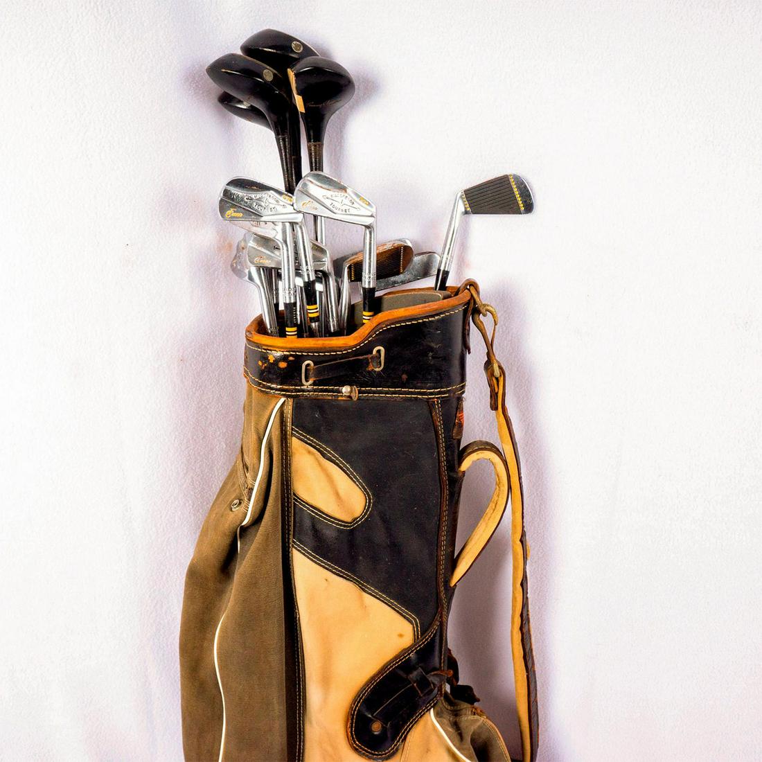 Vintage TM Golf Bag with MacGregor Journey Irons and Woods (1 of 20)