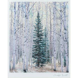 Christopher Burkett (American b. 1951) Framed Art Print: Titled: Spruce and Bright Aspen Forest, Colorado. Cool toned print of a birch and spruce forest. Signed lower right in digital print. Housed in a silver-toned frame with beige matting. Sight size: 8.7