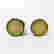 item-137355772=2