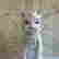 item-137635517=10