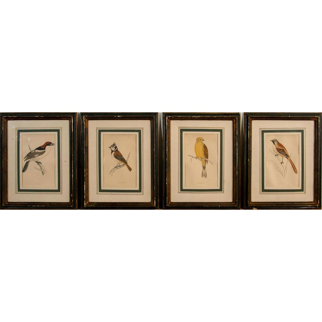 4pc Rev. Morris's Antique Color Engravings Prints of Birds (1 of 18)