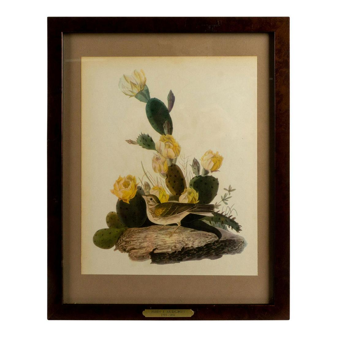 John James Audubon (American, 1785-1851) Lithograph, Bird (1 of 5)