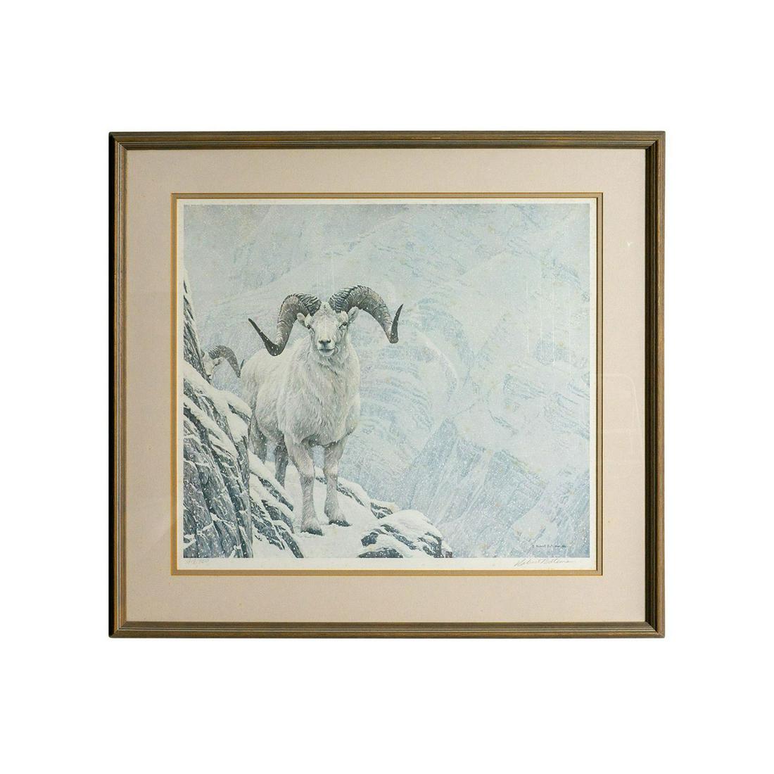 Robert Bateman (Canadian, b. 1932) Signed Art Print: Print depicting a Dall, a wild horned sheep native to N. America traversing a snowy mountainside. Full color art print based on the Naturalist painter R. Bateman's piece titled White World - Dall Shee