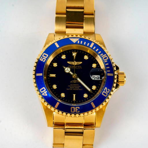 Invicta Men's Automatic Professional 660ft 200m Watch