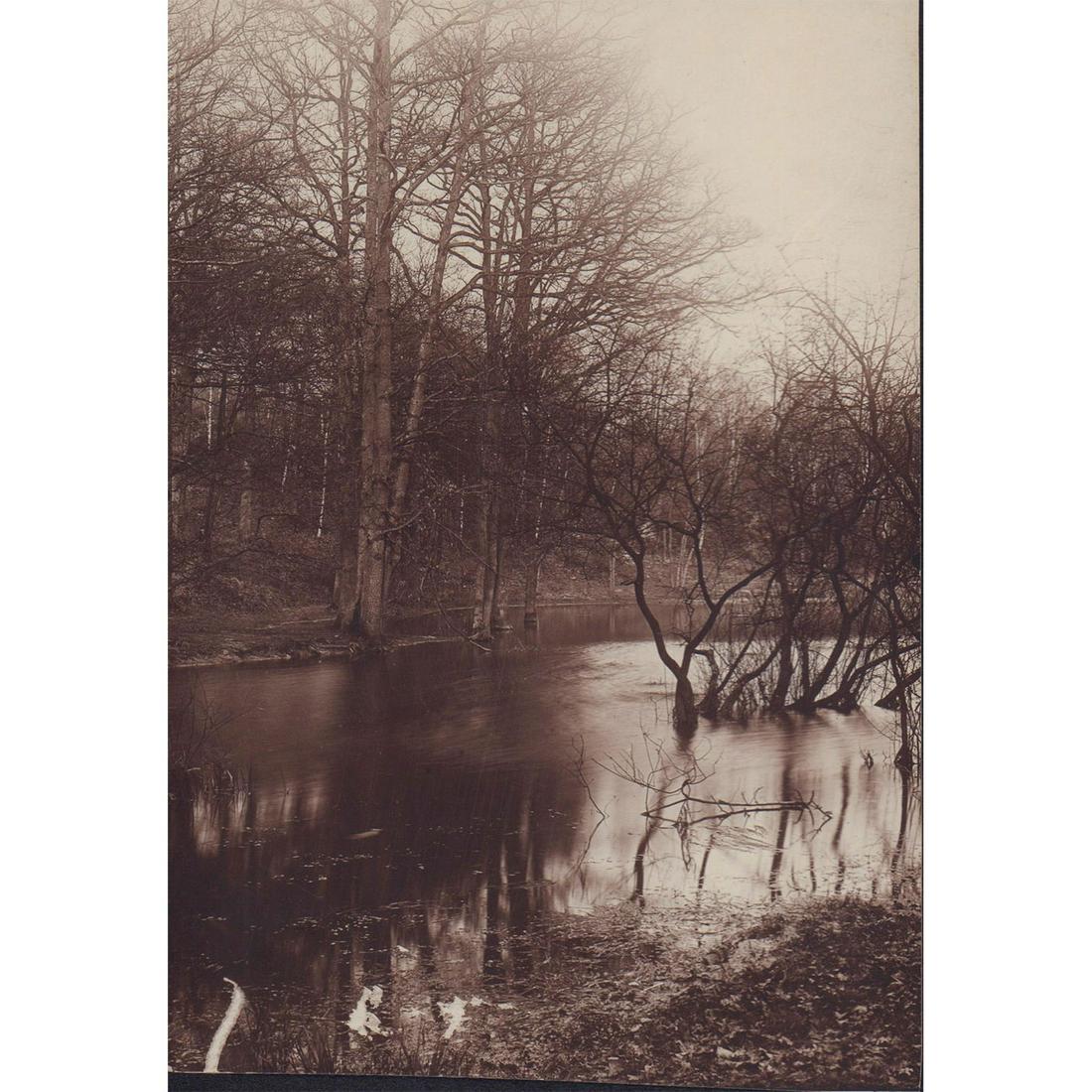 Antique National Feature Photos Photograph, Foret de Meudon: Serene black and white photograph depicting a forest scene; bare trees reflecting beautifully in the flowing river. Reproduction by National Feature Photos. Foret de Meudon is a national forest outsid
