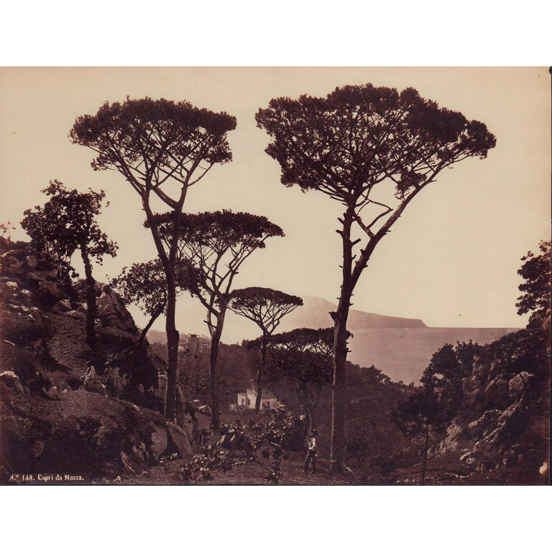 Robert Rive (English 1817-1868) B/W Photo, Capri da Massa (1 of 1)
