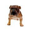 Bulldog Standing HN1044 - Royal Doulton Animal Figure