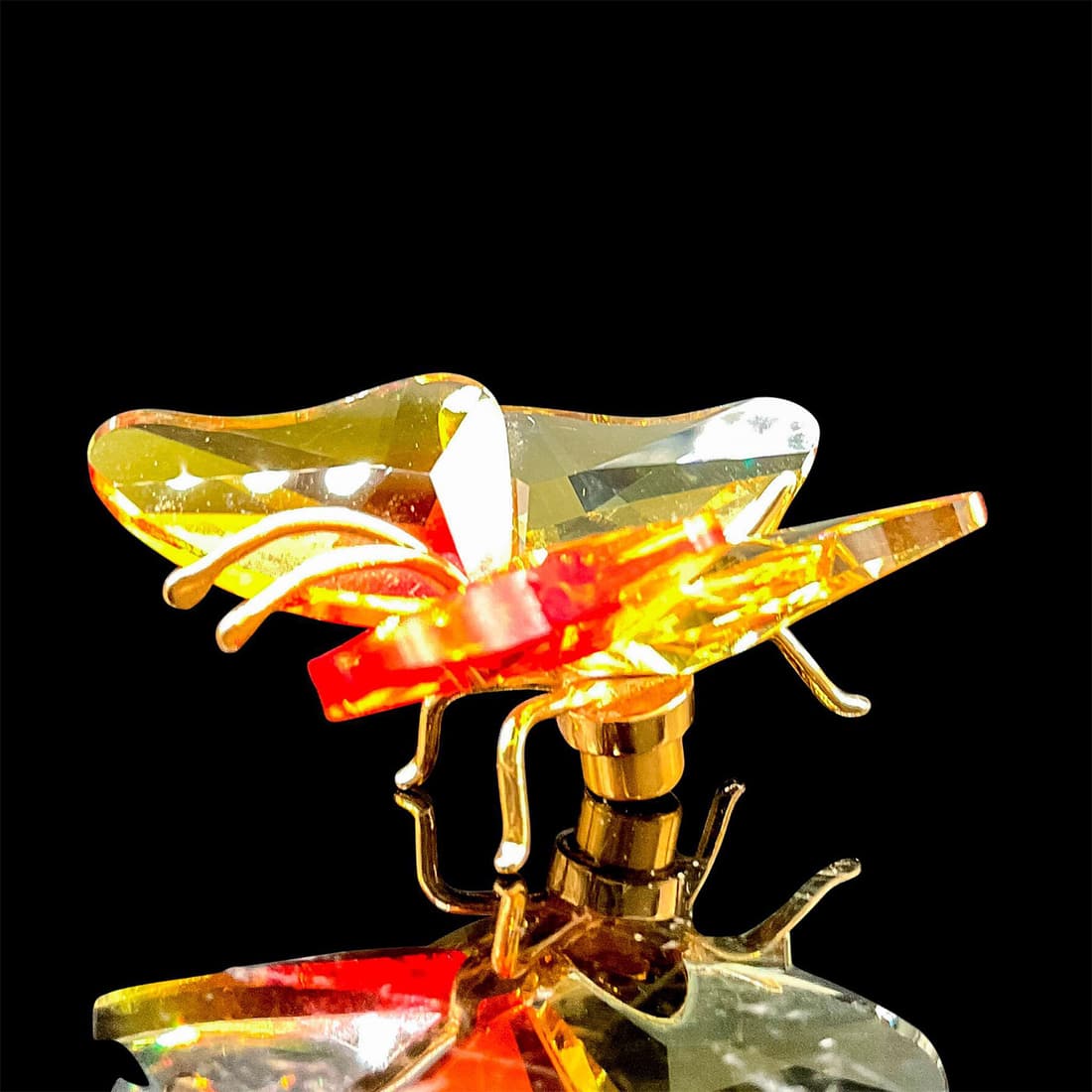 Swarovski Crystal Paradise Object, Abala Butterfly 250426 (1 of 4)