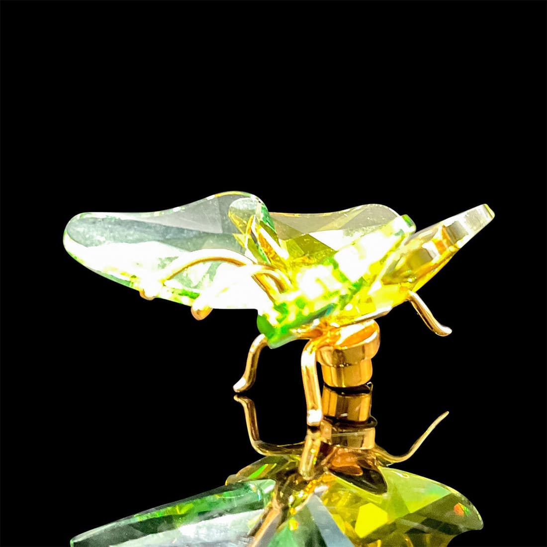 Swarovski Crystal Paradise Object, Butterfly 250460 (1 of 3)