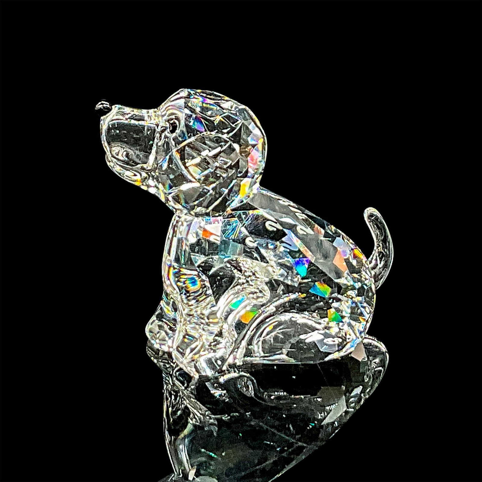 Zodiac Dog - Swarovski Crystal Figurine: Dazzling clear crystal dog sitting, looking upwards. Swarovski etched backstamp. Includes original box 2.5"H x 3.25"dia. Certificate of Authenticity included. Dimensions: 1.5"L x 0.75"W x 1.25"H Manuf