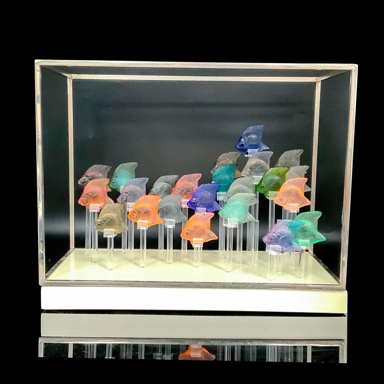 23pc Lalique Crystal Fish Figurines in Original Lalique Display Tank (1 of 3)