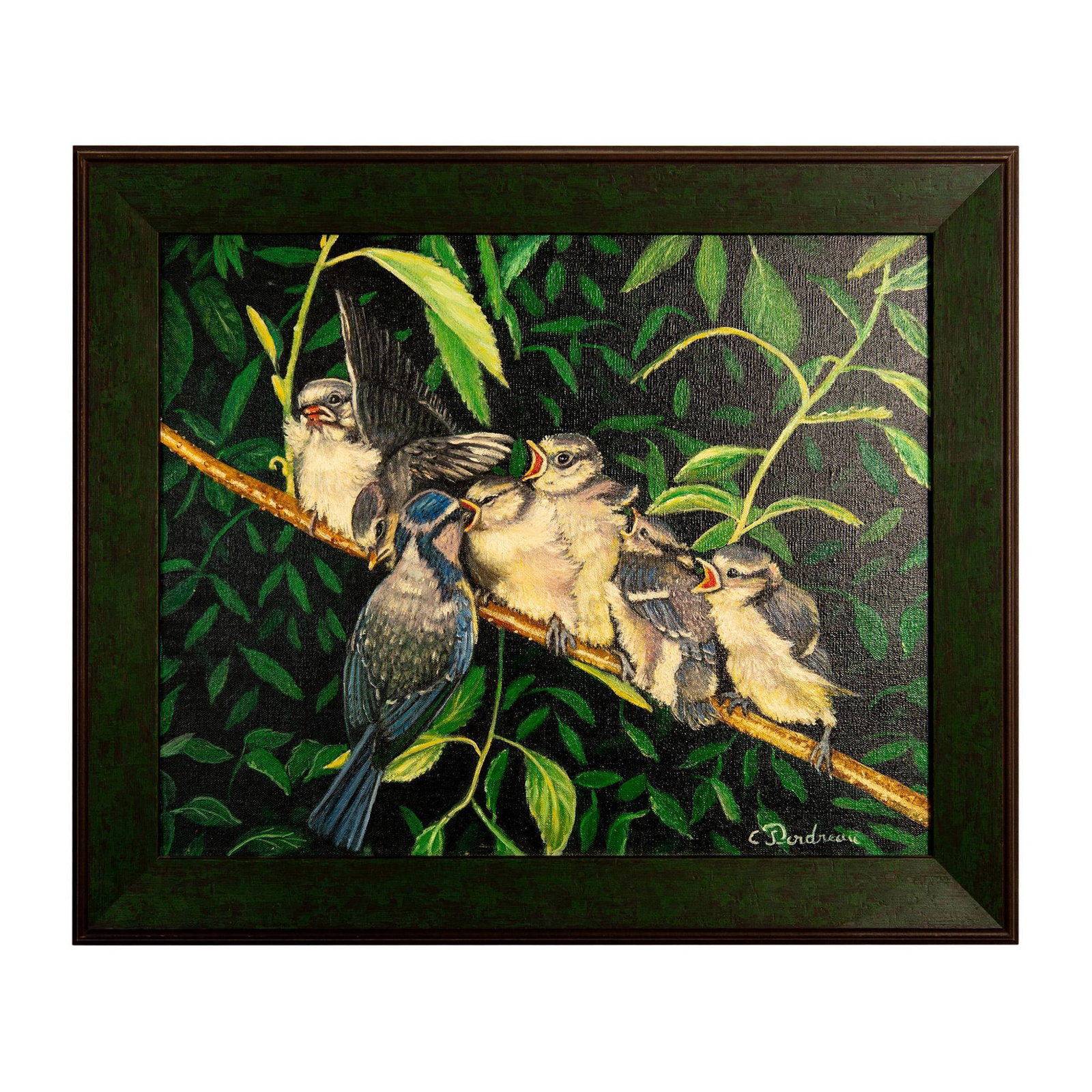 Catherine Perdreau (Canadian) Oil on Canvas Painting, Signed: Well-composed oil on canvas painting depicting a mother blue jay tending to her six scrubs over a black background interspersed with bright green leaves. Artist signature on lower right corner in whit