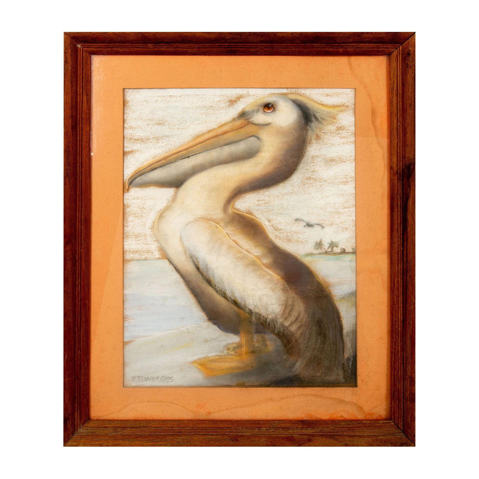 Evelyn R. Waters, Original Pastel on Paper, Signed: Clown of the Air depicts a Florida pelican standing by the water as another one flies in the background toward palm trees. Waters used pastels on brown paper in a masterful style that reveals a ludic 