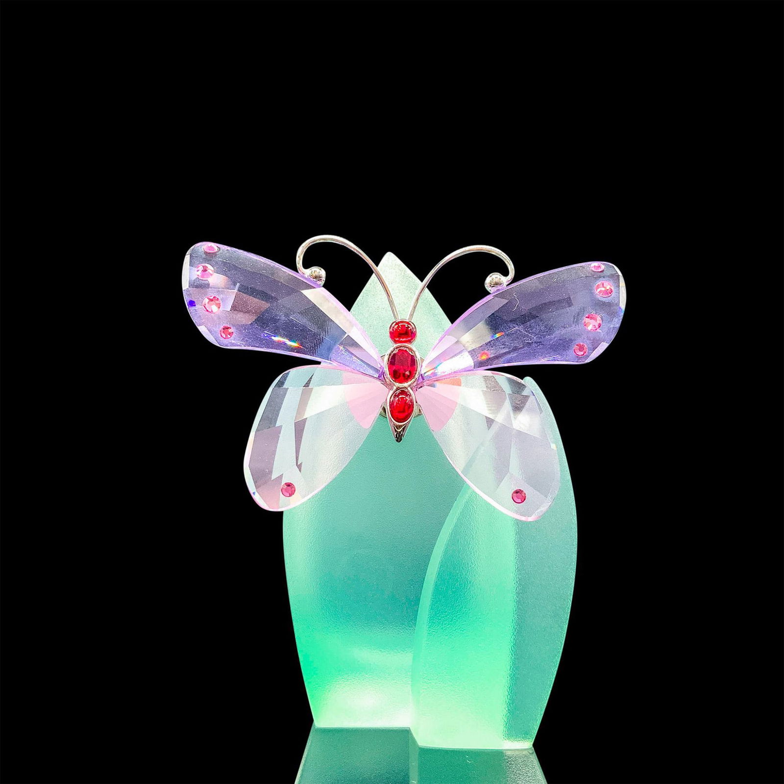 Swarovski Crystal Figurine, Acara (1 of 5)