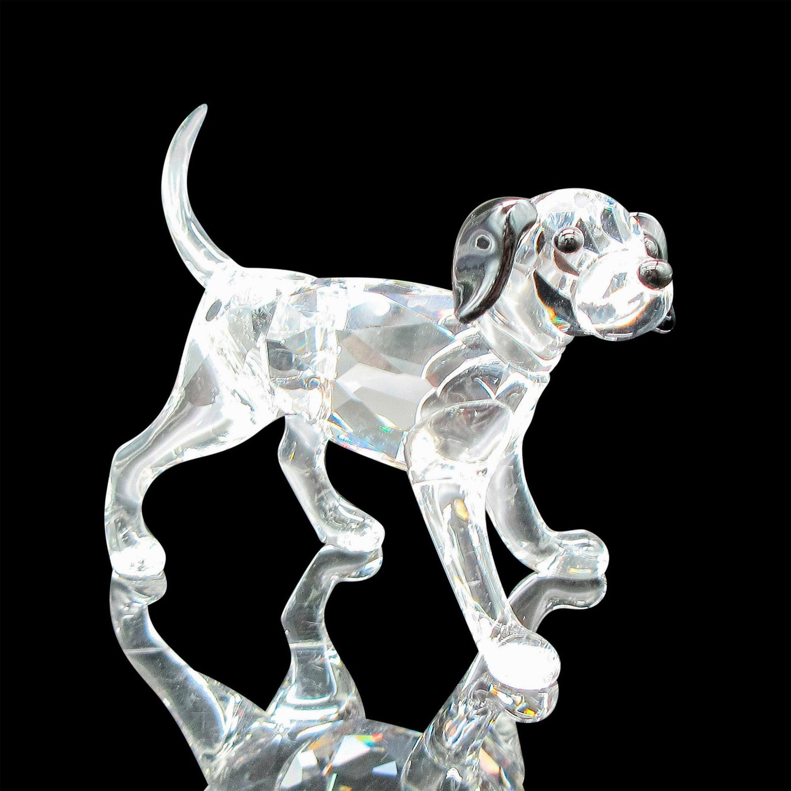 Swarovski Crystal Figurine, Dalmatian Puppy Standing: Clear body with black crystal accents on ears, eyes, nose and spots. Swarovski backstamp. This item has its original box: 4.75"H x 3.25"dia. Issued: 20th century Dimensions: 2"L x 1"W x 2"H Manufactur