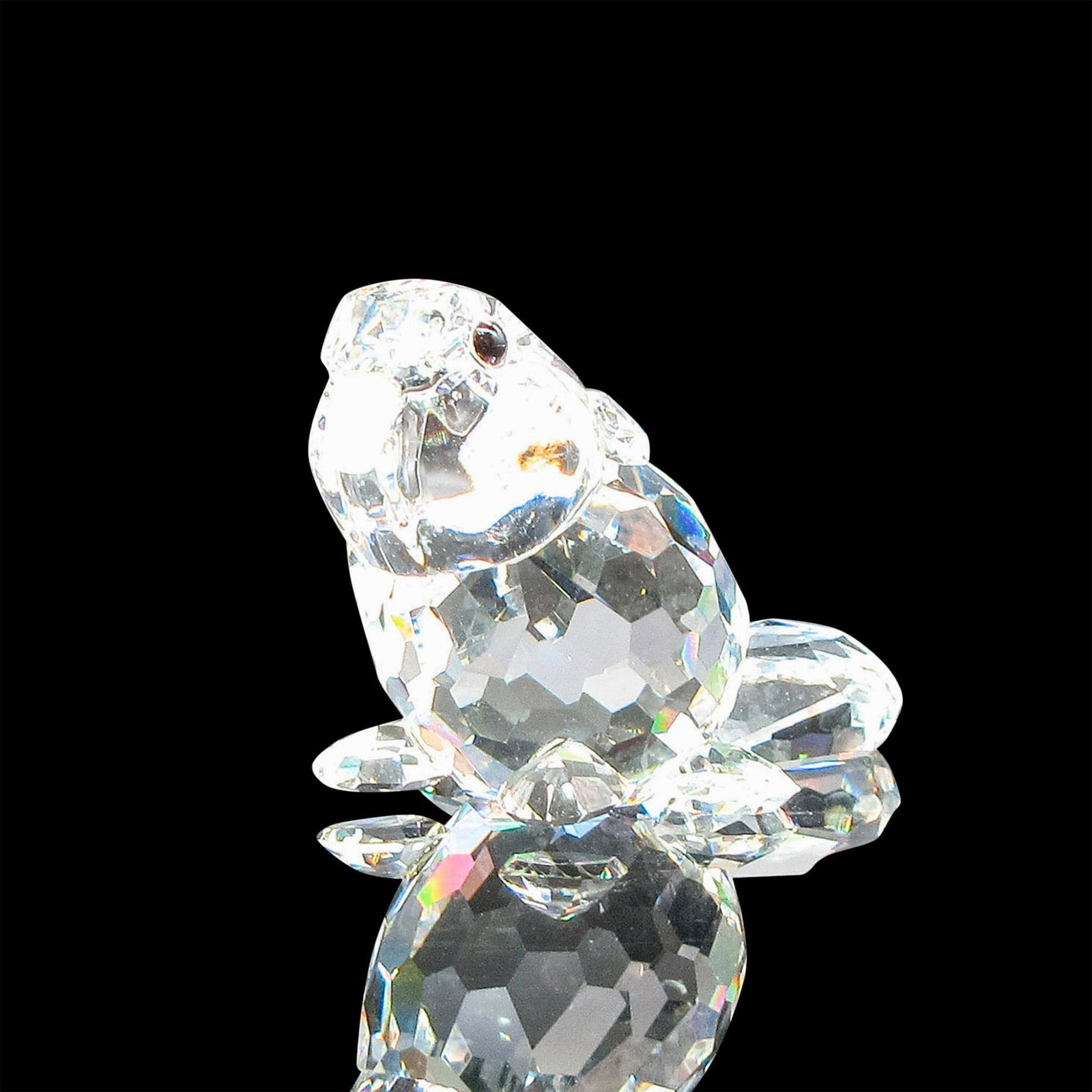 Swarovski Silver Crystal Figurine, Sitting Baby Beaver: Part of the Endangered Species group. Clear crystal figural with tail flat, black eyes and frosted teeth. Swarovski backstamp. 7616 000 002. This item has its original box: 2.5"H x 3.25"dia. Artist: A
